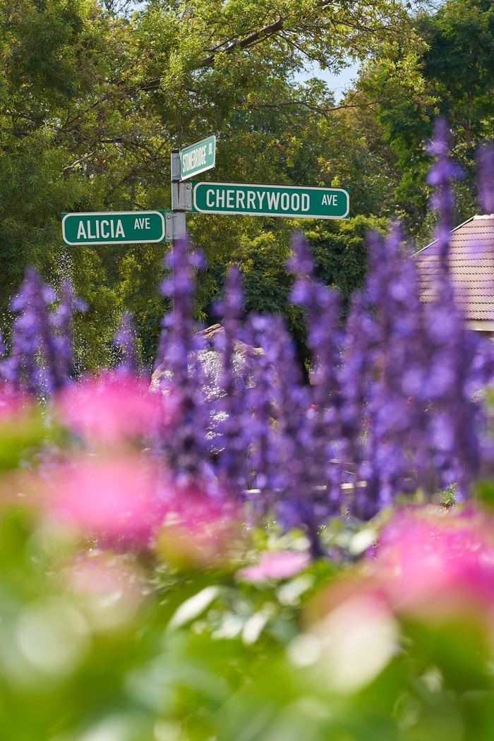 Waterford Estate, Fourways