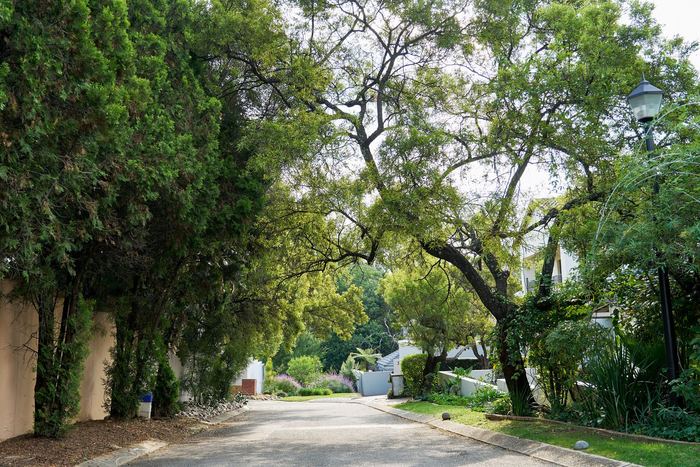 Waterford Estate and Fourways